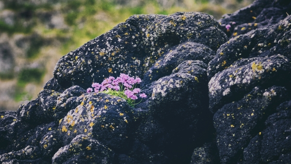 Life After Depression by Britten Devereux